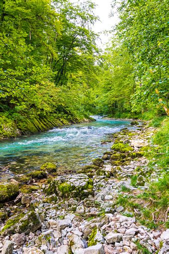 Ngarai Vintgar Slovenia Sungai Dekat Danau Bled Dengan Jalur Wisata