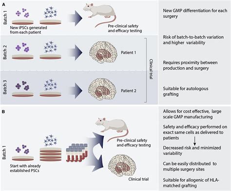 From Skin To Brain A Parkinsons Disease Patient Transplanted With His