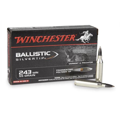 Winchester Ballistic Silvertip, .243 Winchester, BST, 55 Grain, 20 ...