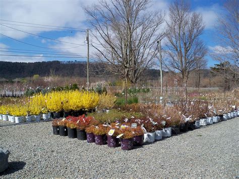 Nursery - Tioga Gardens, Owego, NY