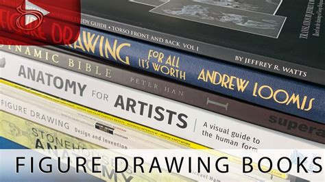 Top Figure Drawing Books You Need To Own Youtube