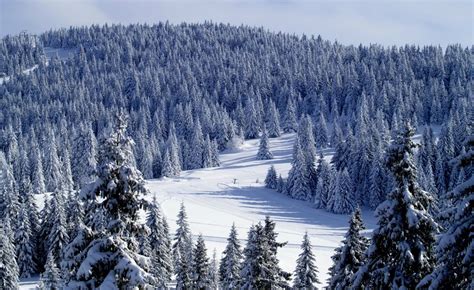 Serbian Ski Resorts Experience The Magic Of Winter