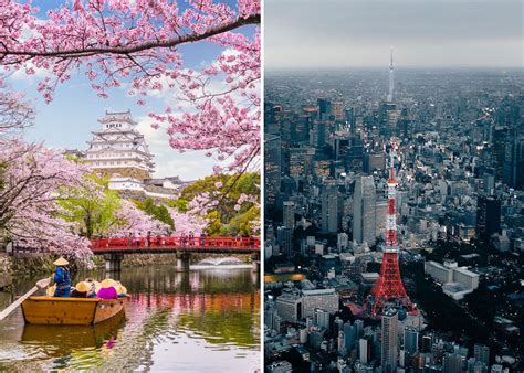 Bonnes Raisons De Partir En Voyage Au Japon