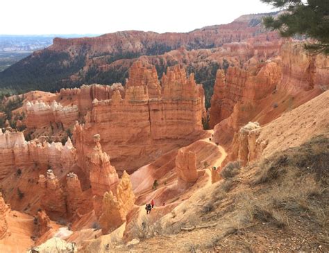 Hoodoos, Canyons and Mountain Lions - Open Road 365