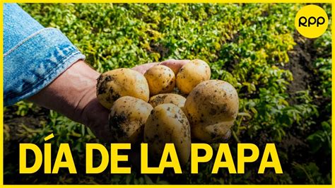 Celebramos El D A Nacional De La Papa Youtube