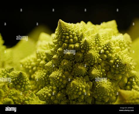 Broccoli and edible flower hi-res stock photography and images - Alamy