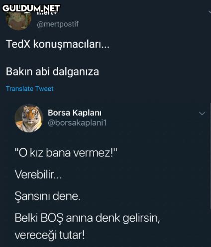 mert mertpostif TedX konuşmacıları Bakın abi dalganıza Translate