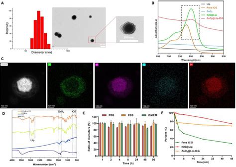 Characterisation Of ZnO 2 Lip ICG NPs A DLS Results And TEM Image