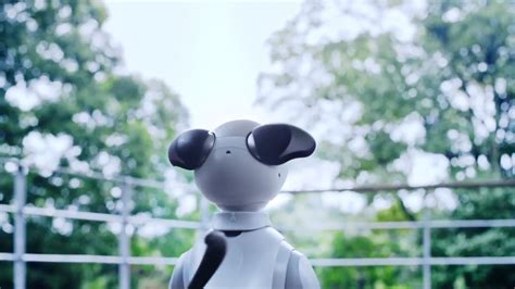 Sony Launches New AIBO Robot Dog - Radical Hub