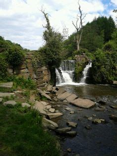 Penllergaer Valley Woods Waterfall | Waterfall, Wonderful places, Outdoor