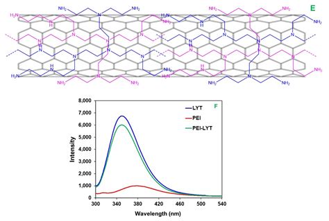 Polymers Free Full Text Polyethyleneimine Functionalized Carbon Nanotubes Enabling Potent