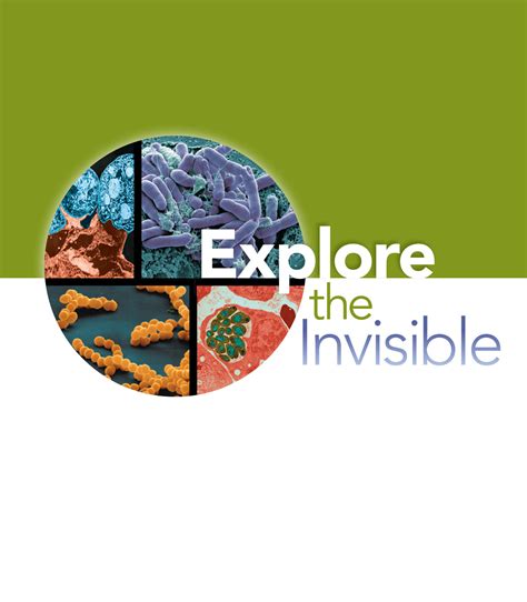 Microbiology With Diseases By Body System Plus Masteringmicrobiology With Etext Access Card Package 9