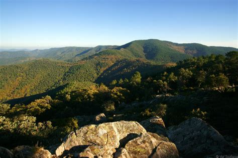 Quelle est la différence entre les Maures et les Sarrasins