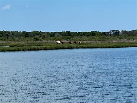 Assateague State Park Berlin 2020 All You Need To Know Before You Go With Photos Berlin