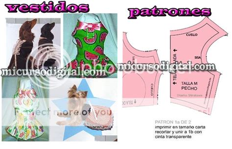 Curso Confecci N De Ropa Perros Moda Canina Crea Vestidos Mascota