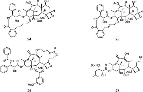 Novel Macrocyclic Paclitaxel Derivatives And Novel