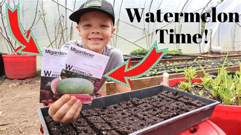 These Seeds Are the SECRET To Huge Watermelons! - YouTube