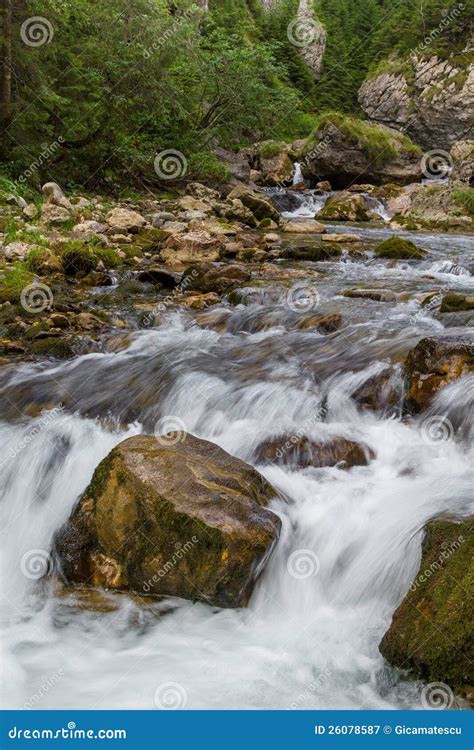 Fiume Della Montagna Immagine Stock Immagine Di Lichene 26078587