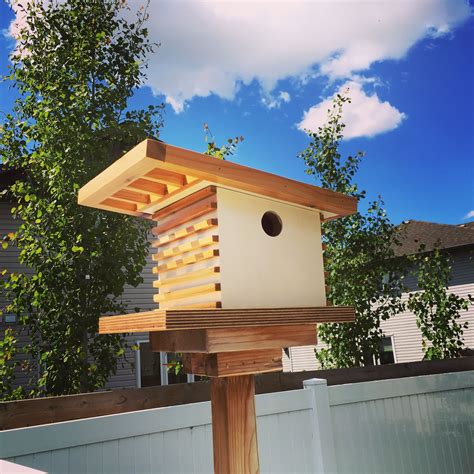 Modern birdhouse | Bird house, Modern birdhouses, Modern birds