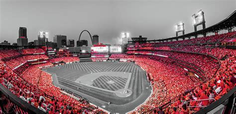 Saint Louis Skyline And Cardinals Red Baseball Stadium Panorama