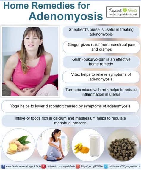 The home remedies for adenomyosis include sheperd's purse, vitex ...