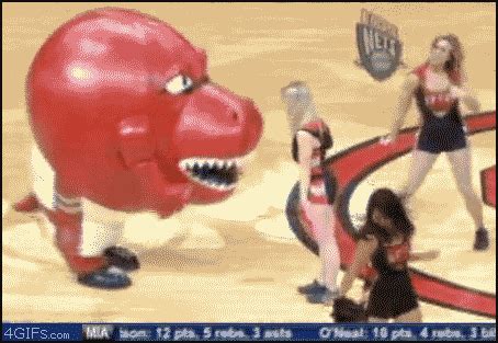 Toronto Raptors Mascot Injury [VIDEO] - Business Insider