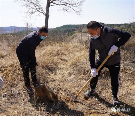 围场法院组织干警参加义务植树活动澎湃号·政务澎湃新闻 The Paper