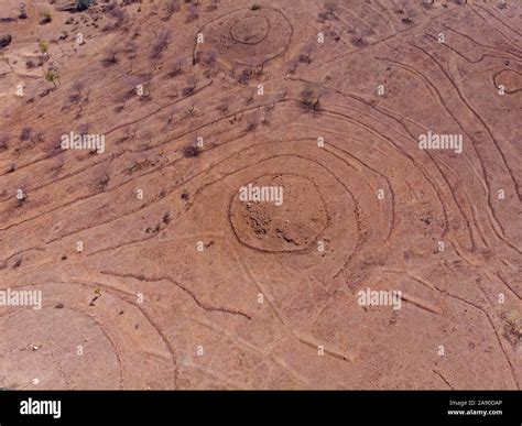 Grasslands Of India Hi Res Stock Photography And Images Alamy