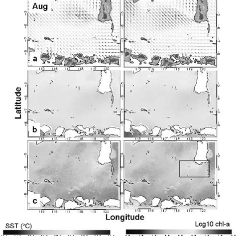 May Half Monthly Climatology Of Wind Speed Sst And Chl A Download Scientific Diagram