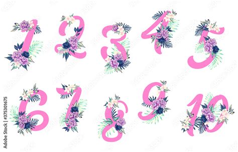 Flower Ornate Numbers Elegant Blossom Number Floral Sprigs Date And