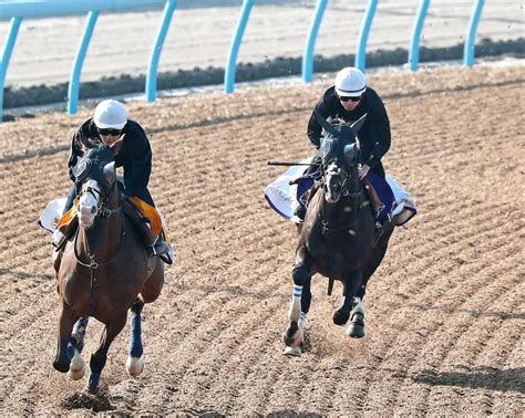 【天皇賞・春】タイトルホルダーが貫禄のラスト11秒2 栗田師「順調にきている」 Umatoku 馬トク