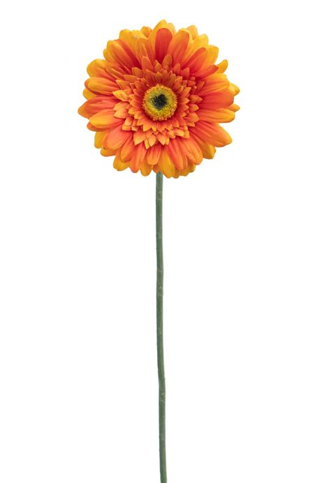 Set Fiori Artificiali Di Gerbera Altezza Cm Arancio Leroy Merlin