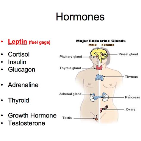 Hormones produced by thymus