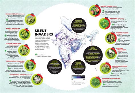 These 11 Invasive Alien Species Have Wrought Havoc On Indias Natural