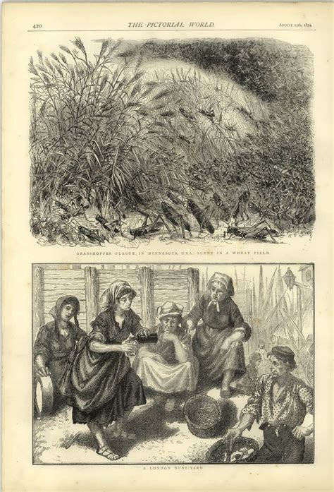 1874 Grasshopper Plague Minnesota London Dust Yard Sifting Sorting Ebay