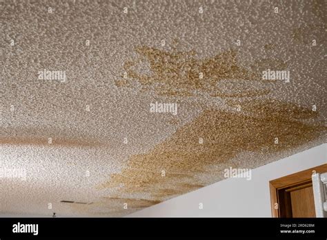 Glitter Ceiling Paint