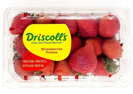 Driscoll's Strawberries 16 oz -- Package - SAMI'S FAIRFAX GROCERY