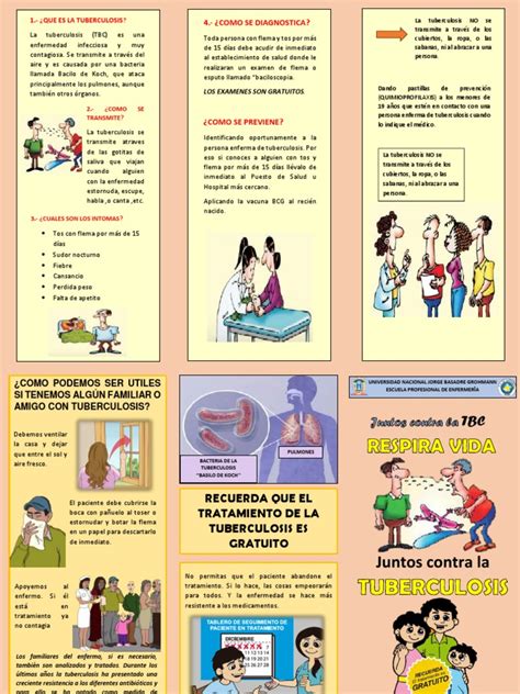 1 Triptico Tbc Pdf Tuberculosis Rtt