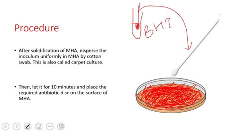 Antibiotic Susceptibility Test Disc Diffusion Method Youtube