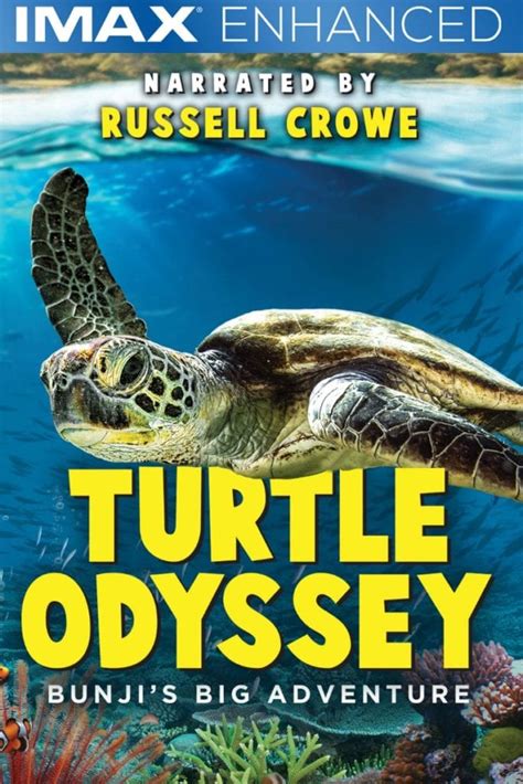 Turtle Odyssey Movie Narrated by Russell Crowe - Mama Likes This