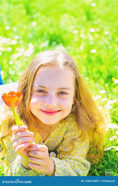 A Menina Na Cara De Sorriso Guarda A Flor Vermelha Da Tulipa Aprecia O