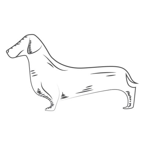 Diseños Png De Perro Salchicha Para Camisetas And Merch