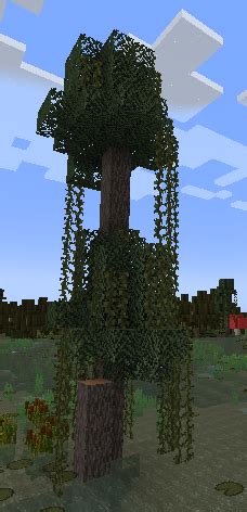 Swamp Cypress Biome Makeover Wiki