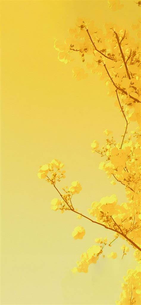 🔥 40 Aesthetic Spring Yellow Wallpapers Wallpapersafari