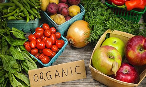 Organic Vs Conventional Food — Deep Roots Project