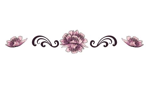 Floral Divider Png Graphic by aneisspiaf · Creative Fabrica