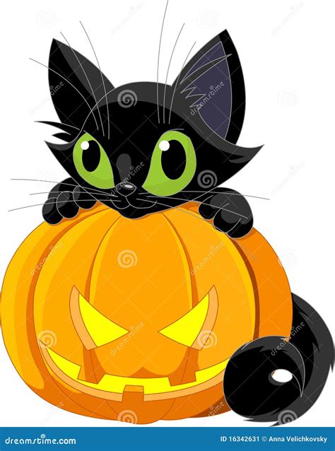 Halloween Schwarze Katze Vektor Abbildung Illustration Von Kunst