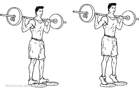 Standing Barbell Calf Raise Illustrated Exercise Guide Workoutlabs