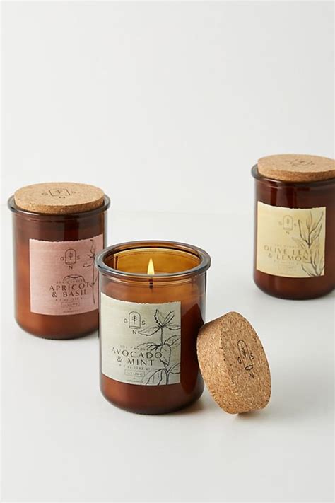 Our Guide to Anthropologie's Best Classic Candles | Apartment Therapy