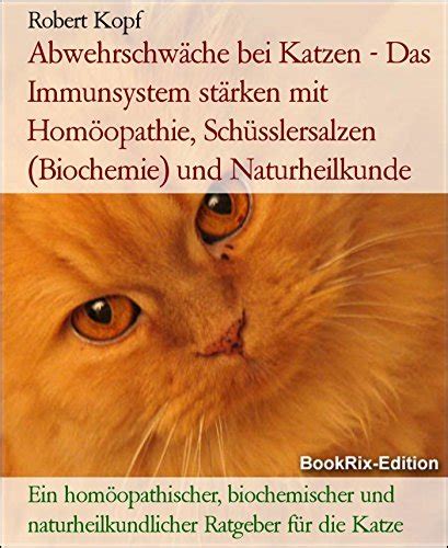 Abwehrschwäche bei Katzen Das Immunsystem stärken mit Homöopathie